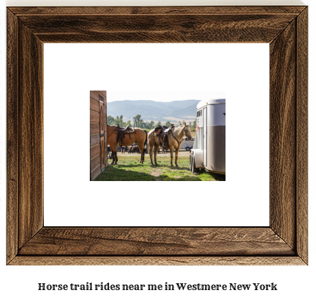 horse trail rides near me in Westmere, New York